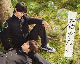 镇江网站优化排名工作室